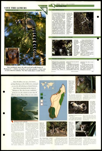 Save the lemurs 44 - the, #44