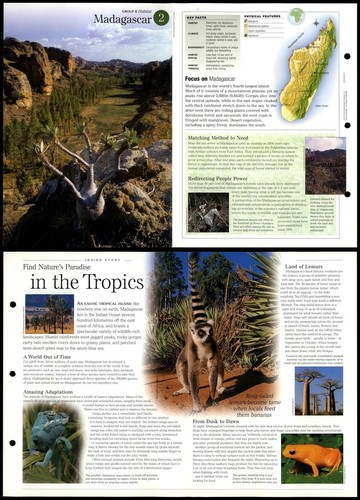 Madagascar habitat - madagascar,