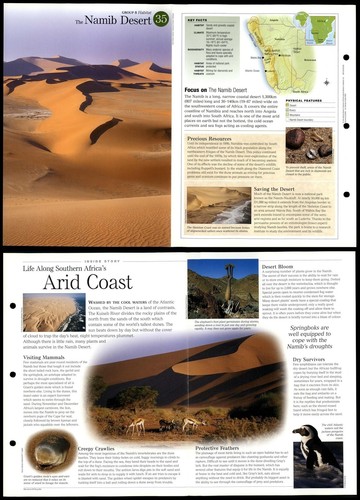 Namib desert habitat - desert,