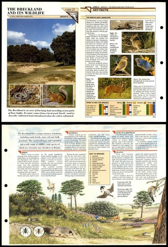 The breckland its wildlife - breckland,