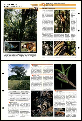 Madagascar world habitats - world,
