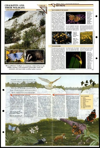 Chalkpits and their - and, wildlife