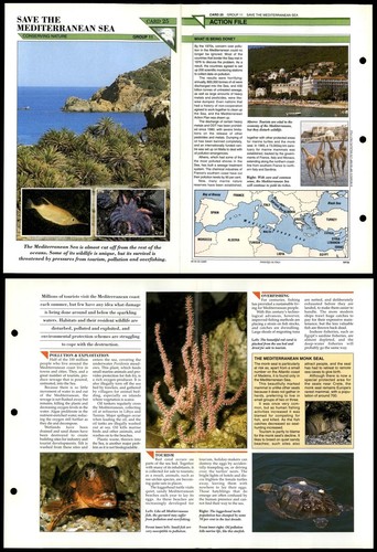 Save the mediterranean - the,