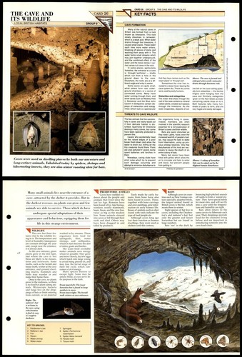 The cave its - the,