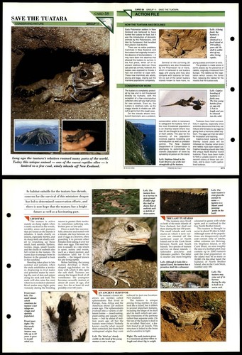 Save the tuatara 58 - the,