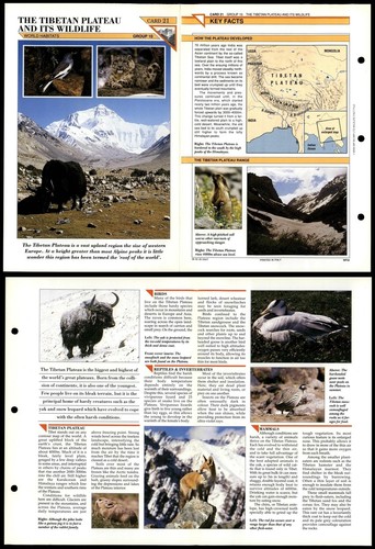 The tibetan plateau - tibetan, world