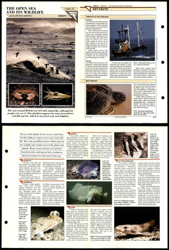 The open sea and - sea,