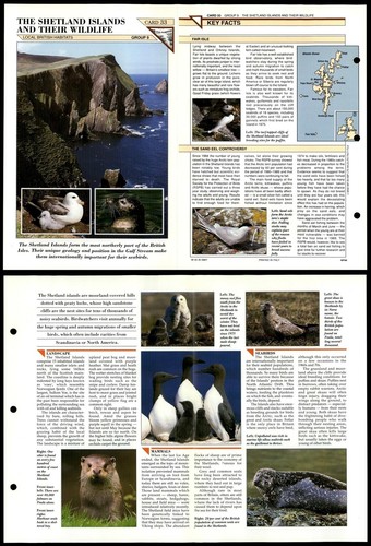 Shetland islands and - and, wildlife