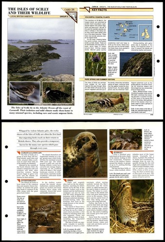 Isles scilly and their - of,