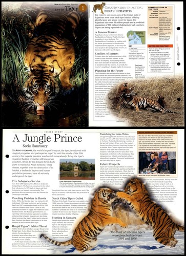 Tiger save species - -,