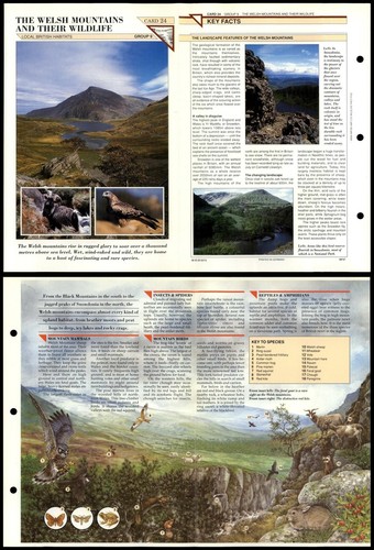 The welsh mountains its - welsh,