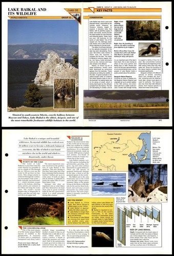 Lake baikal wildlife 10 - lake, &