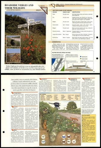 Roadside verges their - &,