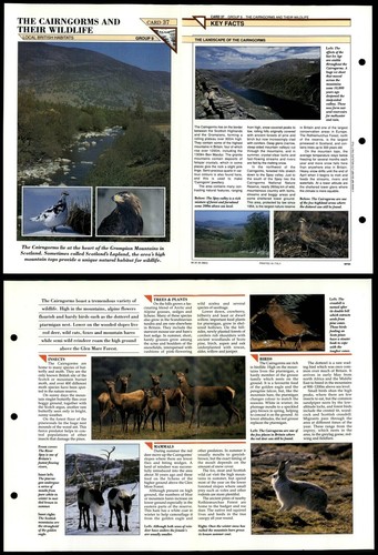 The cairgorms and its wildlife - the,