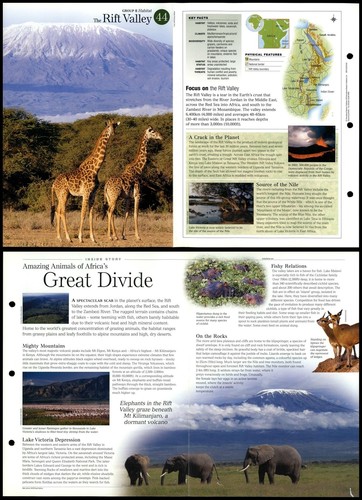 Rift valley habitat - rift,